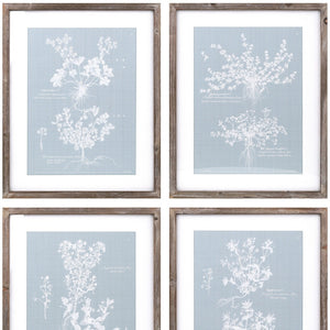 Homeroots Set Of Four 20" X 16" Blue And White Flower Solid Wood Framed Art  Solid Wood 516374
