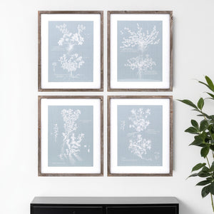 Homeroots Set Of Four 20" X 16" Blue And White Flower Solid Wood Framed Art  Solid Wood 516374