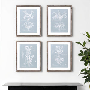 Homeroots Set Of Four 20" X 16" Blue And White Flower Solid Wood Framed Art  Solid Wood 516374