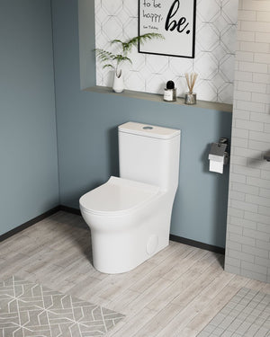 English Elm 1.1/1.6 Gpf Elongated Ceramic One-piece Toilet Skirted Base Comfort Height Soft Close B2724P246930