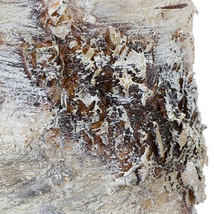 Homeroots Set Of Two Beige And Ivory Faux Birchwood Flameless Pillar Candle  Wax 517676