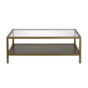 Homeroots 45" Clear And Gold Glass And Steel Coffee Table With Shelf   520911