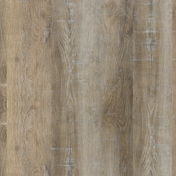 Homeroots 34" Black Glass And Steel Round Coffee Table With Shelf   520925