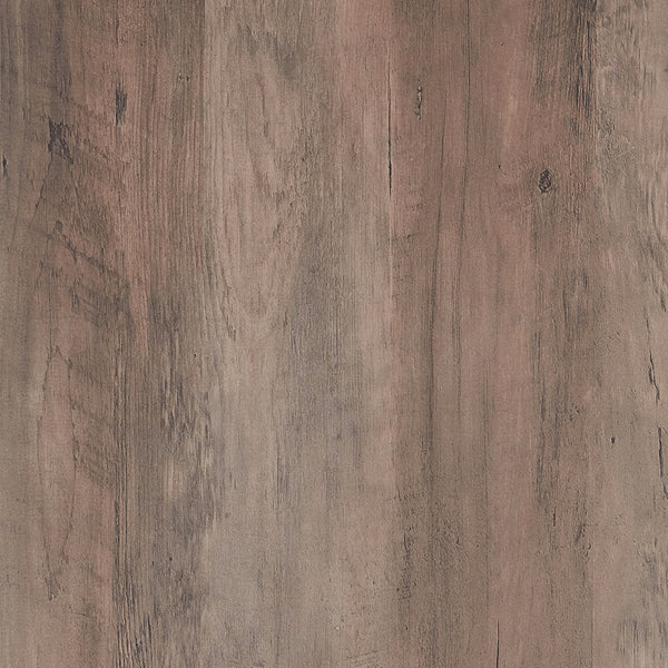 Homeroots 34" Black Glass And Steel Round Coffee Table With Shelf   520926