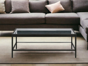 Homeroots 45" Clear And Black Glass And Steel Coffee Table With Shelf   520942