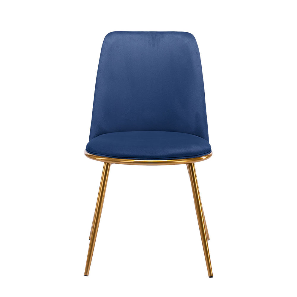 Homeroots Blue And Gold Velvet And Metal Dining Side Chair  Metal 521275