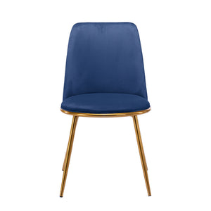 Homeroots Blue And Gold Velvet And Metal Dining Side Chair  Metal 521275