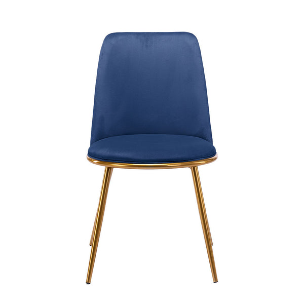 Homeroots Blue And Gold Velvet And Metal Dining Side Chair  Metal 521275