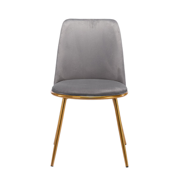 Homeroots Gray And Gold Velvet And Metal Dining Side Chair  Metal 521276