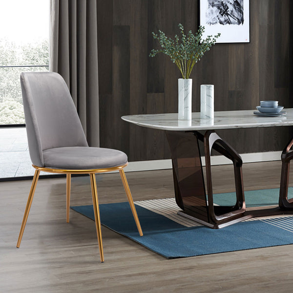 Homeroots Gray And Gold Velvet And Metal Dining Side Chair  Metal 521276