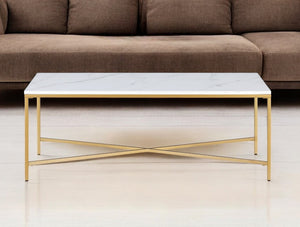 Homeroots 48" White And Gold Steel Coffee Table   521624