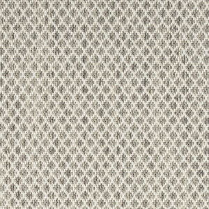 HomeRoots 9' X 12' Ivory and Silver Area Rug - Durable, Elegant Indoor/Outdoor Design, Pet-Friendly & Easy Care 521967