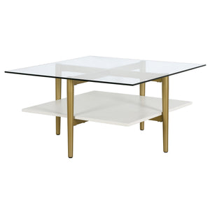 Homeroots 32" White And Gold Glass And Steel Square Coffee Table With Shelf   521987
