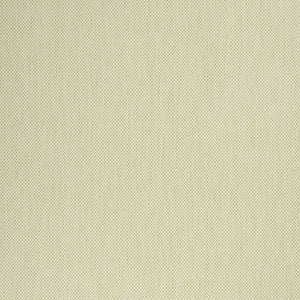 Homeroots 7' X 10' Green And Ivory Indoor Outdoor Area Rug  Polypropylene 522033