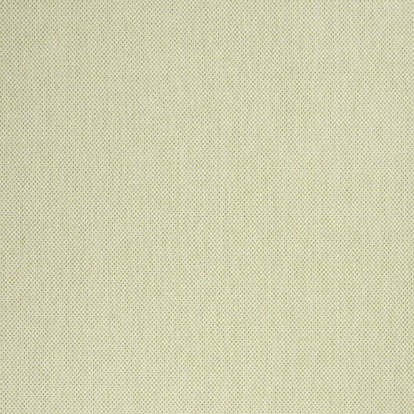 Homeroots 7' X 10' Green And Ivory Indoor Outdoor Area Rug  Polypropylene 522033