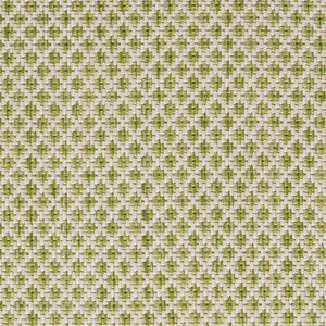 HomeRoots 8' X 10' Versatile Green and Ivory Indoor/Outdoor Area Rug - Durable, Water-Resistant, Easy Clean! 522034