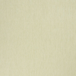 Homeroots 8' X 10' Green And Ivory Indoor Outdoor Area Rug  Polypropylene 522034