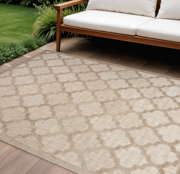 HomeRoots 8' Beige Area Rug - Durable Indoor Outdoor Flatwoven Design for Stylish Living Spaces & Easy Maintenance 8' X 10' 522135