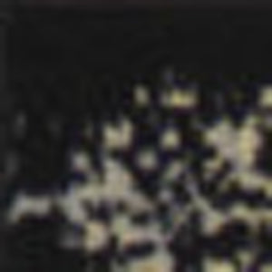 Homeroots 7' X 10' Cream Damask Power Loom Area Rug  Polypropylene 522254