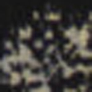 Homeroots 7' X 10' Cream Damask Power Loom Area Rug  Polypropylene 522254