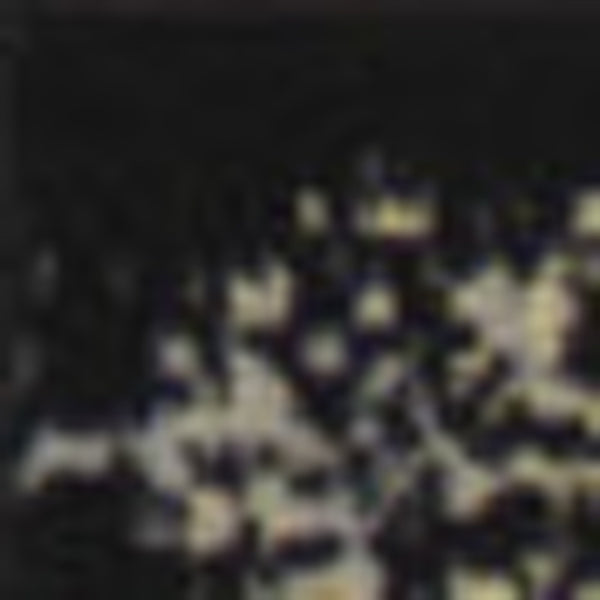 Homeroots 8' X 10' Cream Damask Power Loom Area Rug  Polypropylene 522258