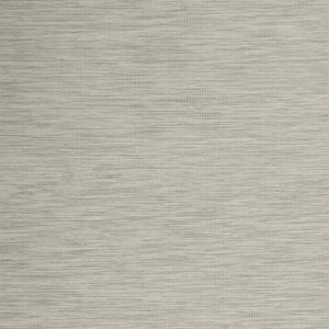 Homeroots 5' X 7' Light Gray Indoor Outdoor Area Rug  Polypropylene 522550