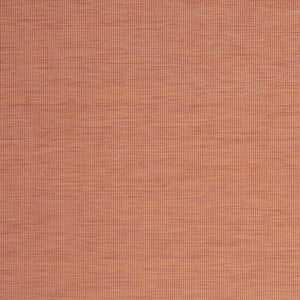 Homeroots 7' X 10' Terracotta Indoor Outdoor Area Rug  Polypropylene 522585