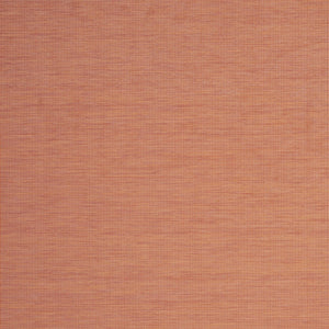 Homeroots 7' X 10' Terracotta Indoor Outdoor Area Rug  Polypropylene 522585