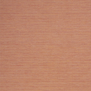 Homeroots 5' X 7' Terracotta Indoor Outdoor Area Rug  Polypropylene 522588