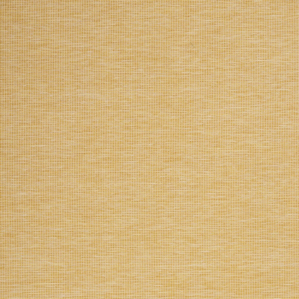 Homeroots 5' X 7' Yellow Indoor Outdoor Area Rug  Polypropylene 522598