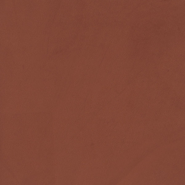 English Elm Whitney Rust Orange Upholstered Armchair with Teardrop Arms & Plush Foam Cushioning for Living Room B062P353268