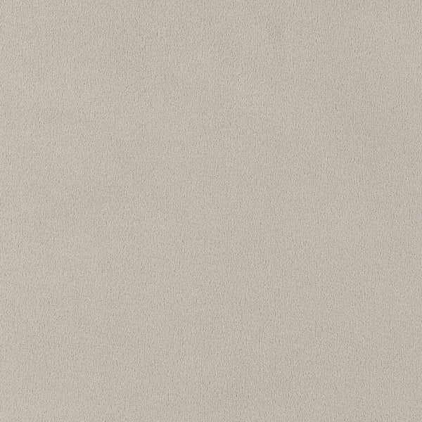 English Elm 2pc Plush Button-Tufted High Back Dining Chairs with Rolled Top, Nailhead Trim and Tapered Legs Espresso,Sand 42.5 L x 13 W x 19.25 H B011P311393