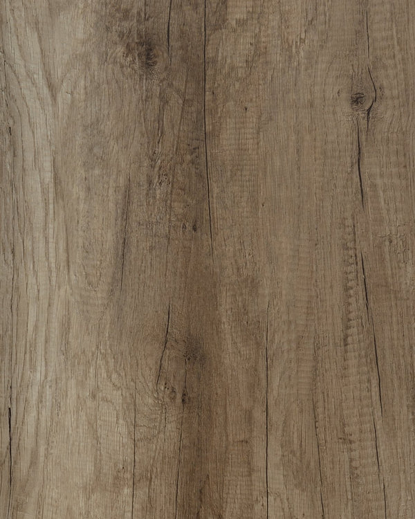 English Elm 1pc Five-Drawer Chest in White Mist Finish with Metal Knobs & Handles, Spacious Bedroom Storage Solution Brown 63.5 L x 19.5 W x 39 H B011P228966