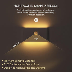 English Elm Hall Tree Entryway Organizer with 6 Hooks, Storage Bench & Open Shelves for Shoes and Coats Brown 58.46 L x 21.85 W x 6.5 H W1321P190219