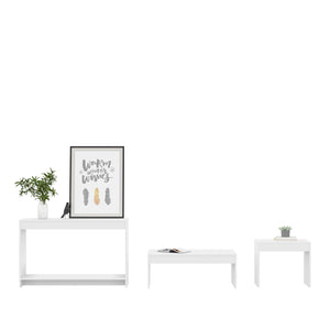 Homeroots Set Of Three 43" White Coffee Table   528807