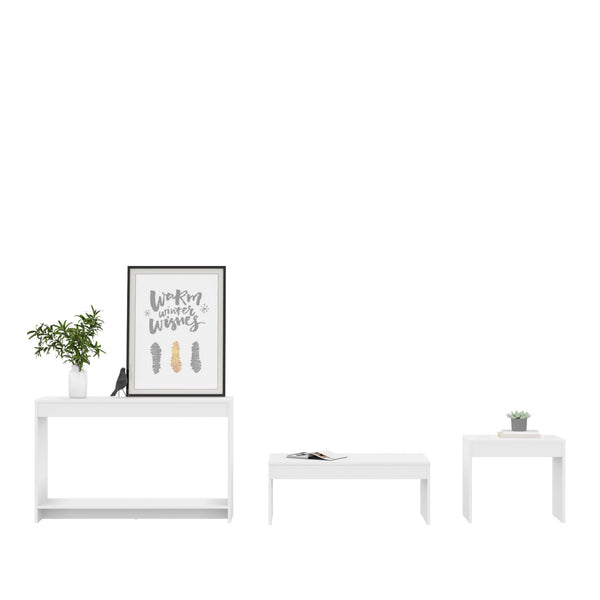 Homeroots Set Of Three 43" White Coffee Table   528807