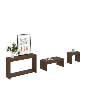 Homeroots Set Of Three 43" Brown Coffee Table   528808