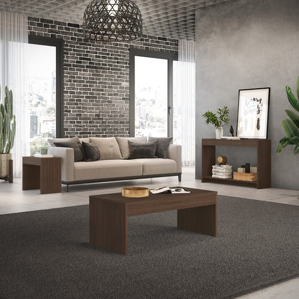 Homeroots Set Of Three 43" Brown Coffee Table   528808