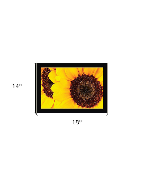 Homeroots Sunflower Portrait Black Framed Print Wall Art Black Wood 529968