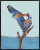 Leftbank Art - American Kestrels by Fern Cassidy 36 x 45