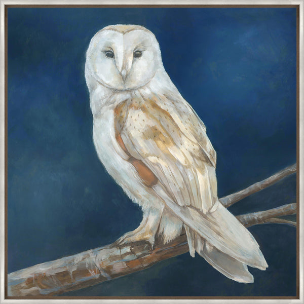 Leftbank Art - Elegance of the Night by Jacob Lincoln 54 x 54