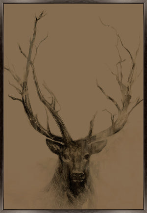 Leftbank Art - Antlers I by Maelani Blue 40 x 60