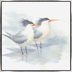 Leftbank Art - Elegant Terns I by Ryan Brown 54 x 54