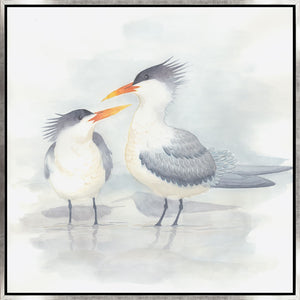 Leftbank Art - Elegant Terns II by Ryan Brown 54 x 54