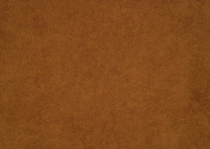 English Elm Modern Plush Bouclé Side Chairs Set of 2 — Curved Minimalist Design, Plywood Frame, Fully Assembled Comfort Orange 30 L x 24.5 W x 34.5 H B011P355866