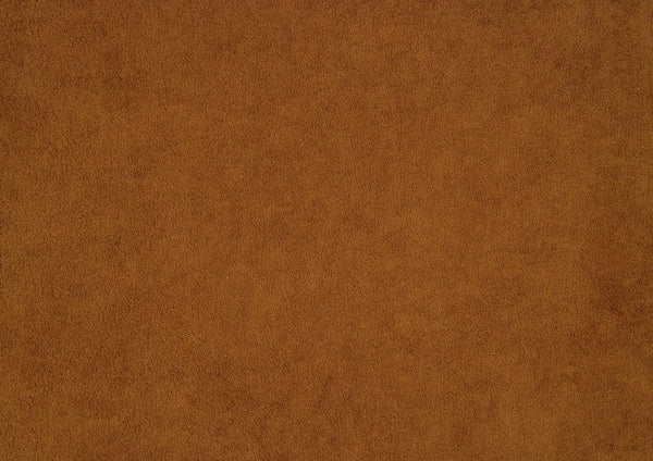 English Elm Modern Plush Bouclé Side Chairs Set of 2 — Curved Minimalist Design, Plywood Frame, Fully Assembled Comfort Orange 30 L x 24.5 W x 34.5 H B011P355866