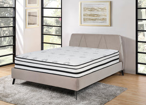 English Elm 12-inch Vela Promo Hybrid Queen Mattress with Breathable Quilted Cover, Green Tea Freshness, Plush Support White 16.5 L x 16.5 W x 80 H B011P213355