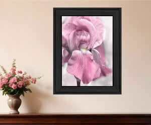 Homeroots Pink Iris Black Framed Print Wall Art - Trendy Rustic Decor To Elevate Your Space With Style!  Wood 530020