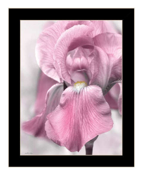 Homeroots Pink Iris Framed Print Wall Art - Trendy Rustic Decor For Modern Farmhouse Style Spaces Black Wood 530021