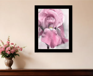 Homeroots Pink Iris Framed Print Wall Art - Trendy Rustic Decor For Modern Farmhouse Style Spaces Black Wood 530021